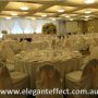 Elegant Effect