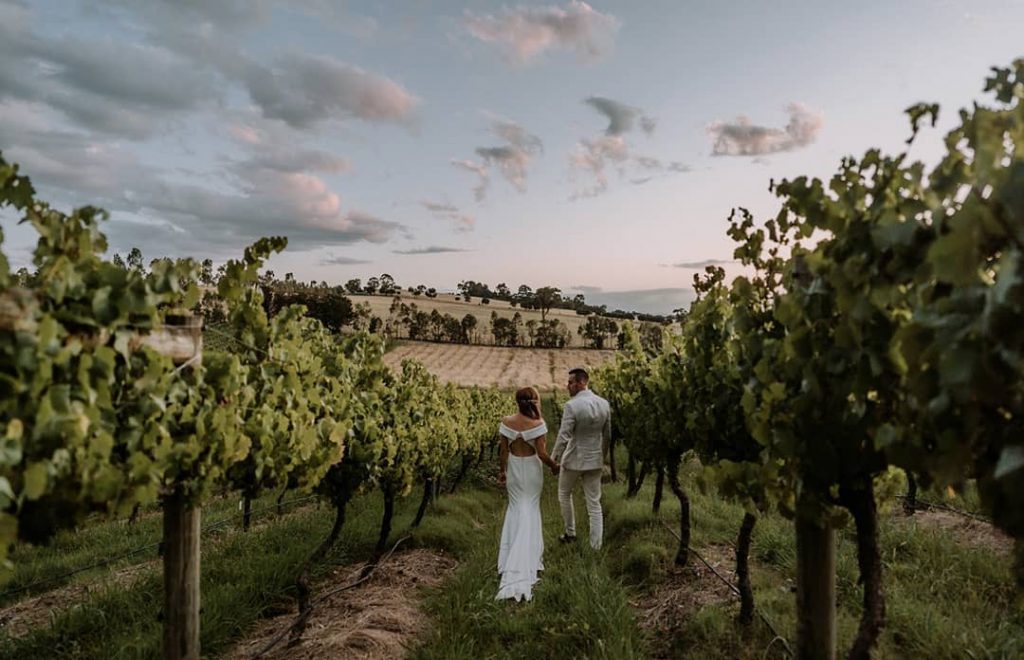 Immerse Winery - Wedding Venue, Dixons Creek, Yarra Valley
