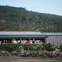 Mount Macedon Winery - Wedding Venue, Mount Macedon, Victoria