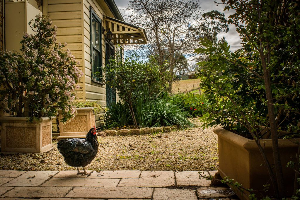 Segenhoe Inn - Wedding Venue, Aberdeen, Newcastle, New South Wales